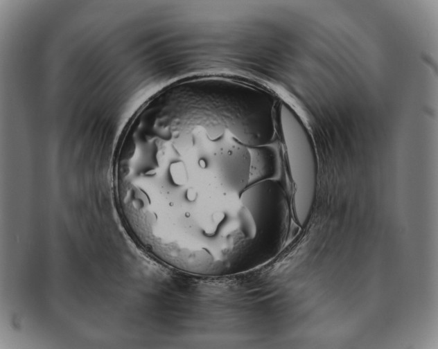 X0000091240951200708301535