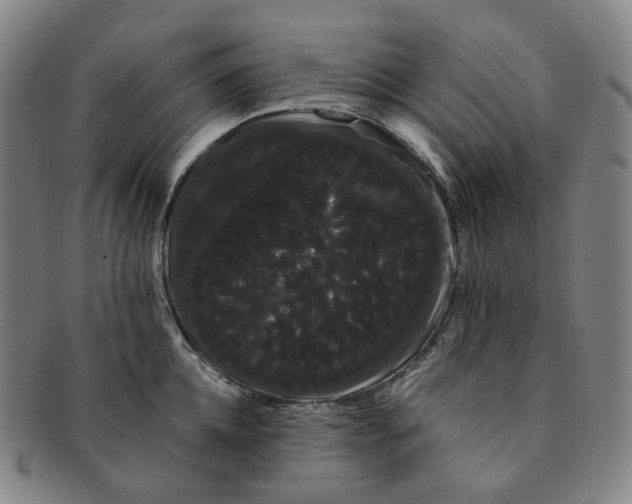 X0000091240952200708301535