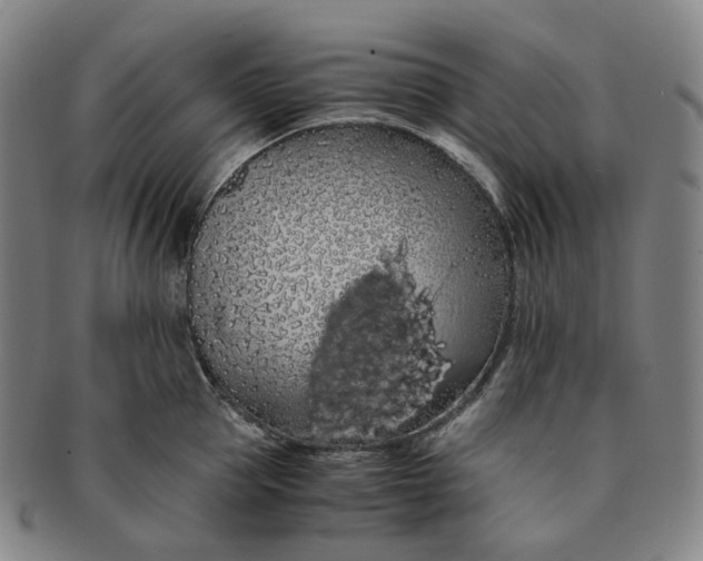 X0000091240953200708301535