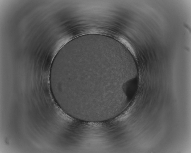 X0000091240954200708301535