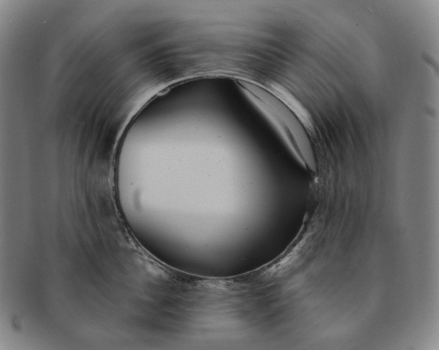 X0000091240956200708301535