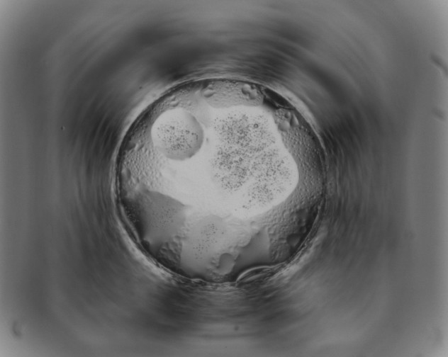 X0000091240957200708301535