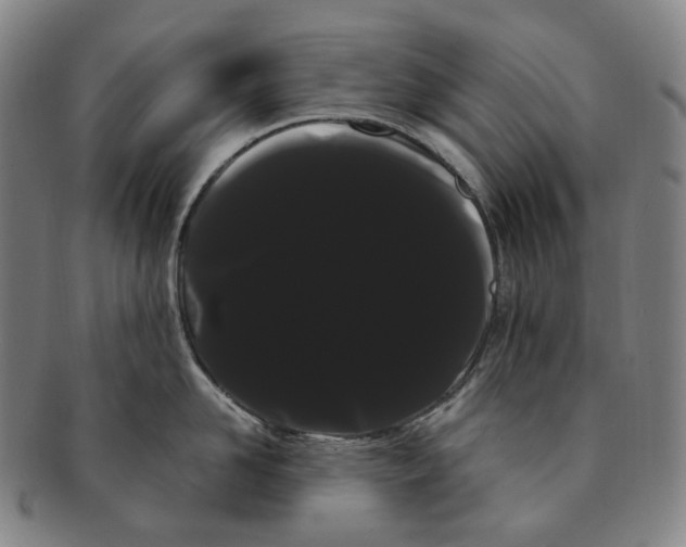 X0000091240958200708301535