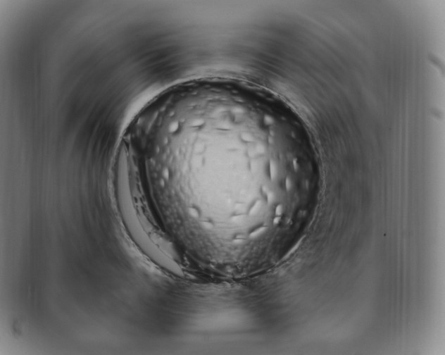 X0000091240960200708301535