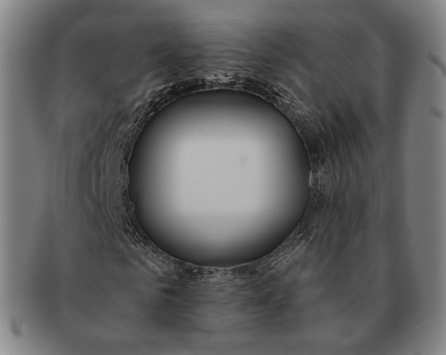 X0000091240961200708301535