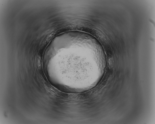 X0000091240963200708301535