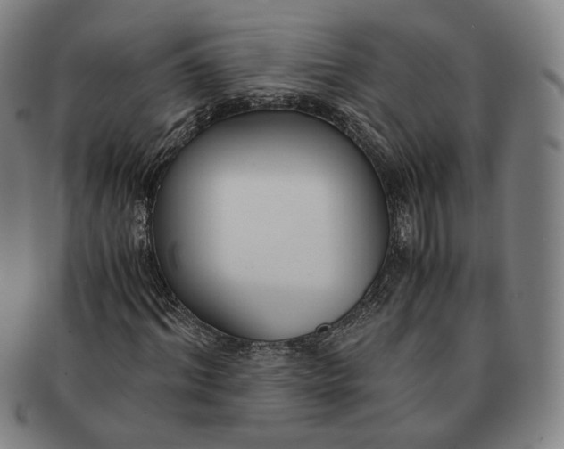 X0000091240964200708301535