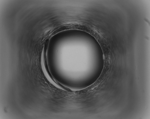 X0000091240965200708301535