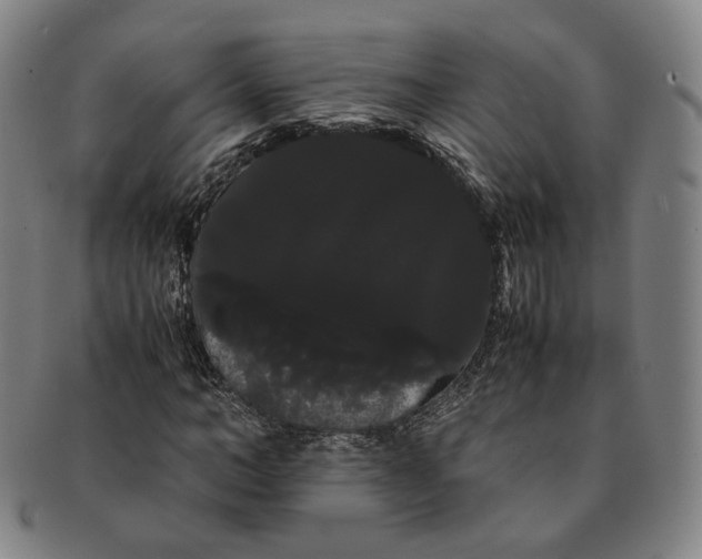 X0000091240966200708301535