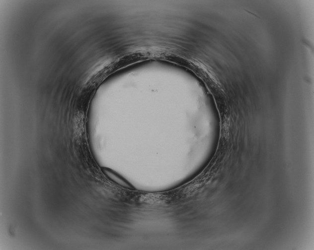 X0000091240967200708301535