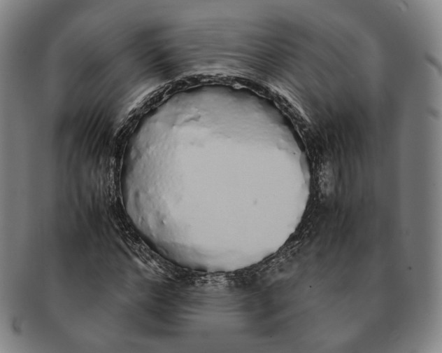 X0000091240968200708301535