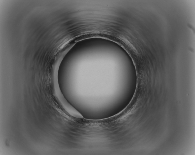 X0000091240969200708301535