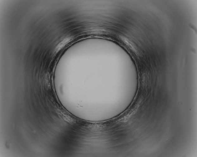 X0000091240970200708301535