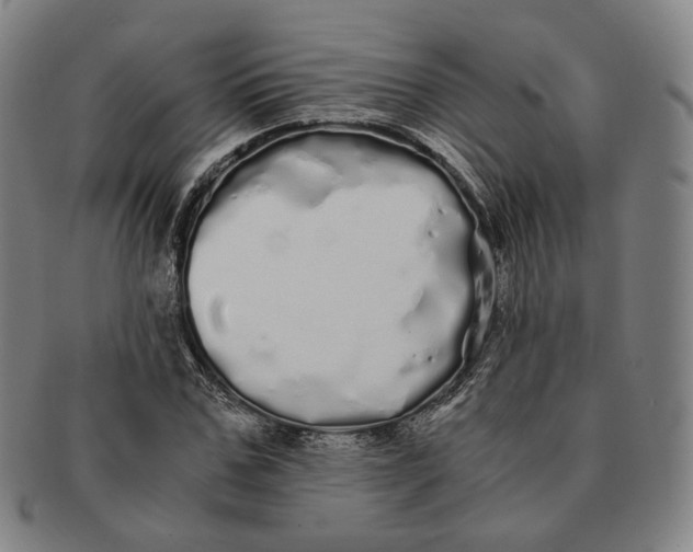 X0000091240971200708301534