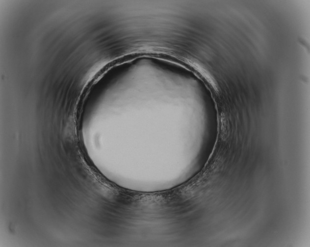 X0000091240972200708301534