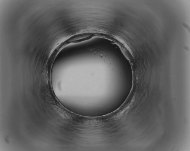 X0000091240973200708301534