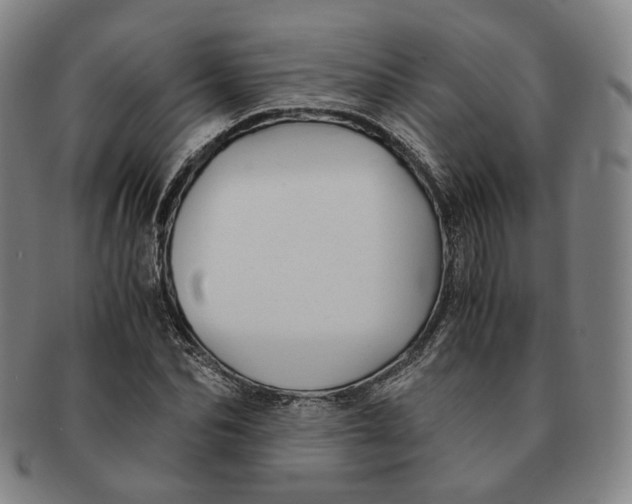 X0000091240974200708301534