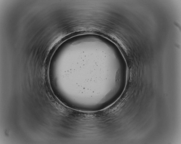 X0000091240975200708301534