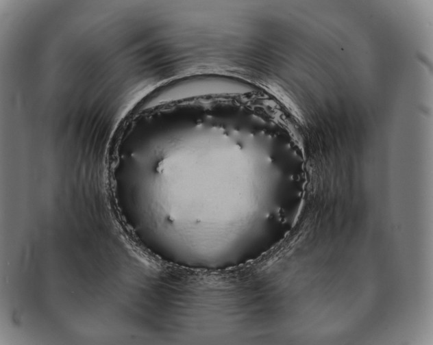 X0000091240976200708301534