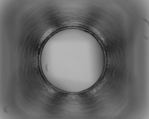 X0000091240978200708301534