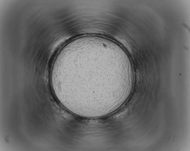 X0000091240979200708301534