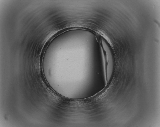 X0000091240980200708301534