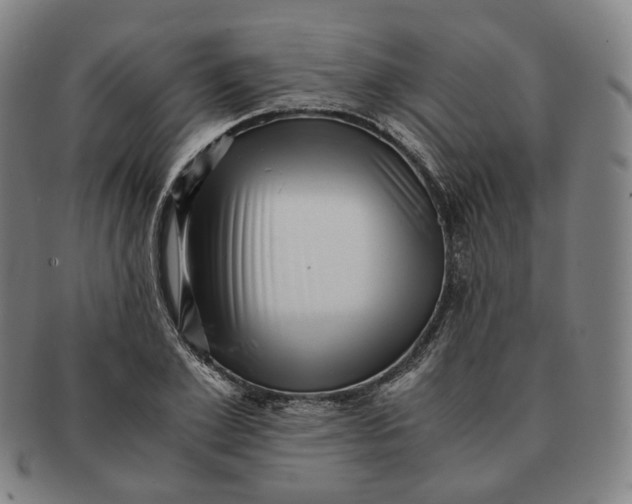 X0000091240981200708301534