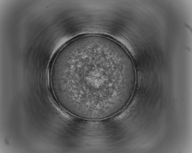 X0000091240982200708301534