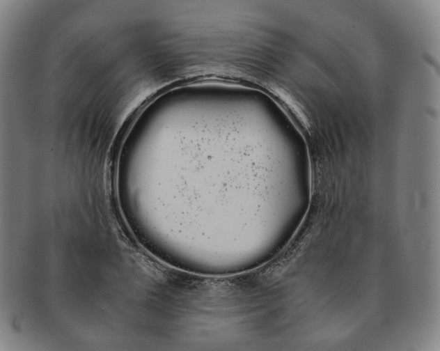 X0000091240983200708301534