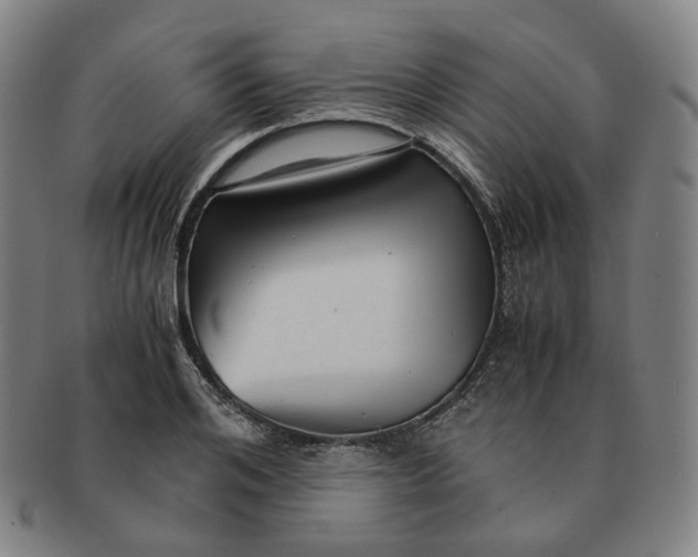 X0000091240984200708301534