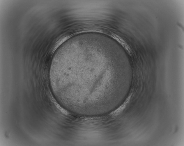 X0000091240985200708301534