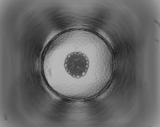 X0000091240986200708301534