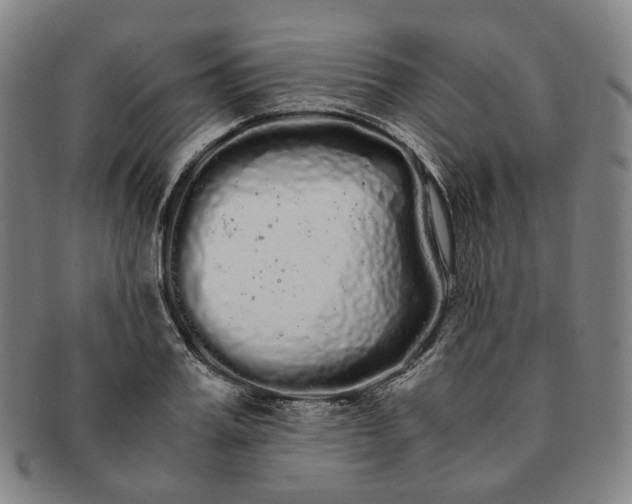 X0000091240987200708301534