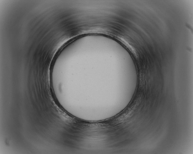 X0000091240988200708301534