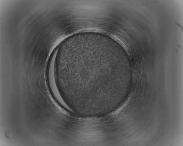 X0000091240989200708301534