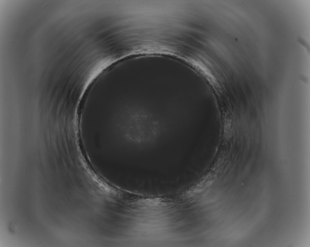 X0000091240990200708301534