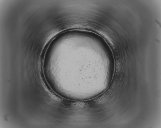 X0000091240991200708301534