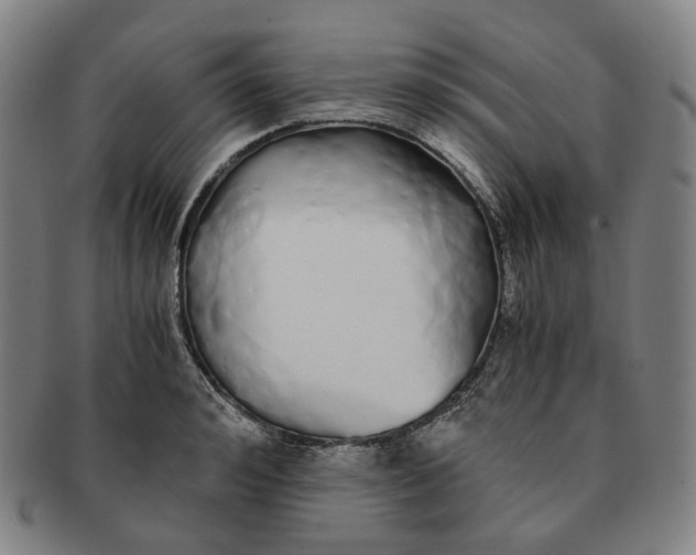 X0000091240992200708301534