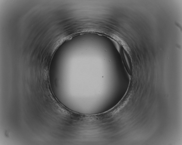 X0000091240993200708301534