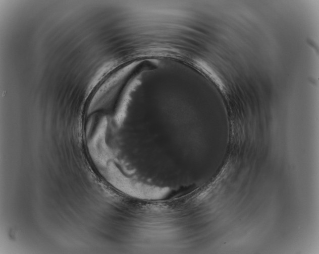 X0000091240994200708301534