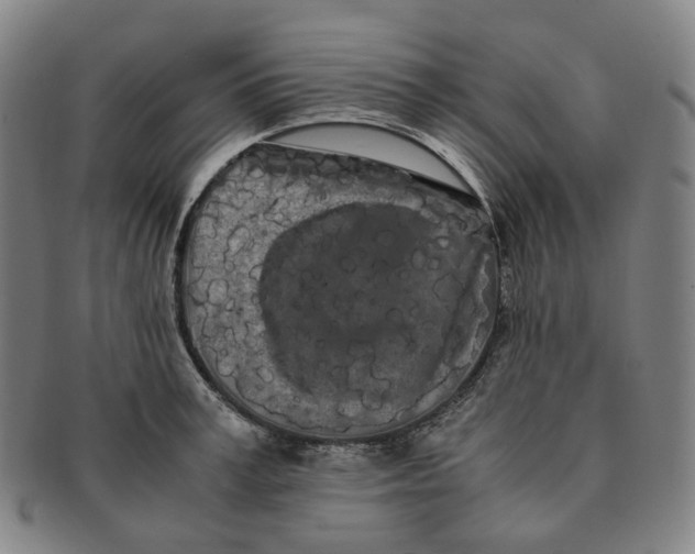 X0000091240995200708301534