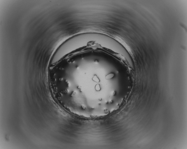 X0000091240996200708301534