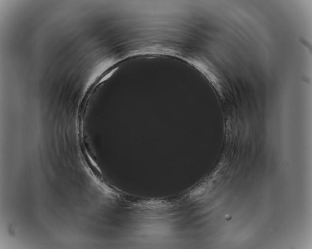 X0000091240998200708301534