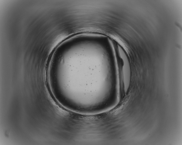 X0000091240999200708301534