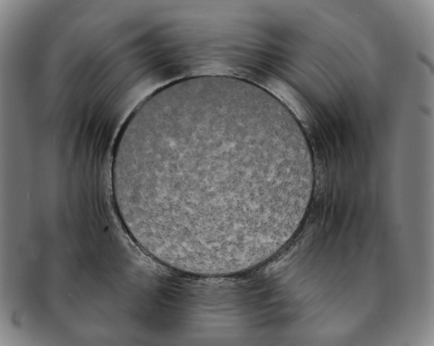 X0000091241000200708301534