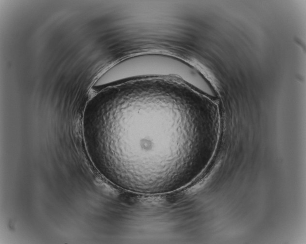 X0000091241001200708301534