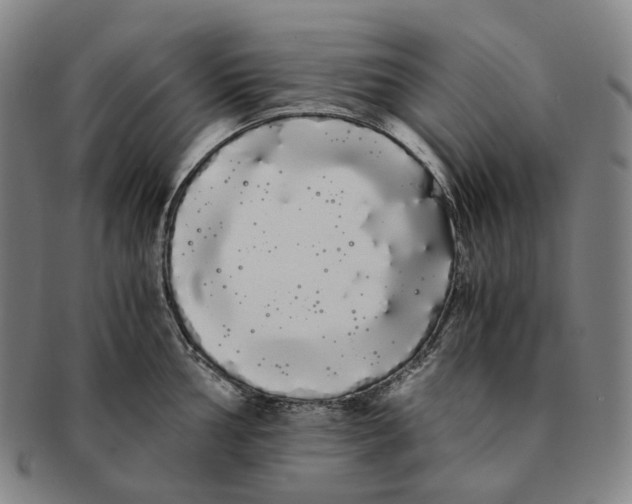 X0000091241002200708301534