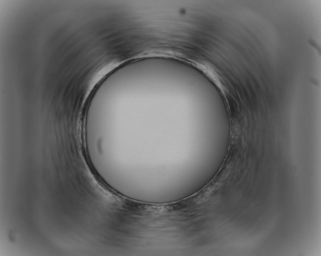 X0000091241003200708301534