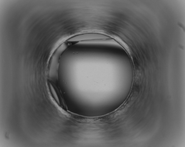 X0000091241005200708301534