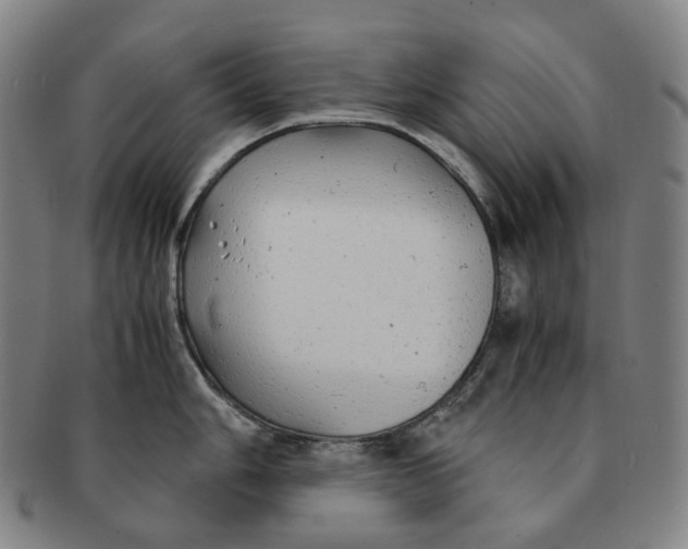 X0000091241006200708301534